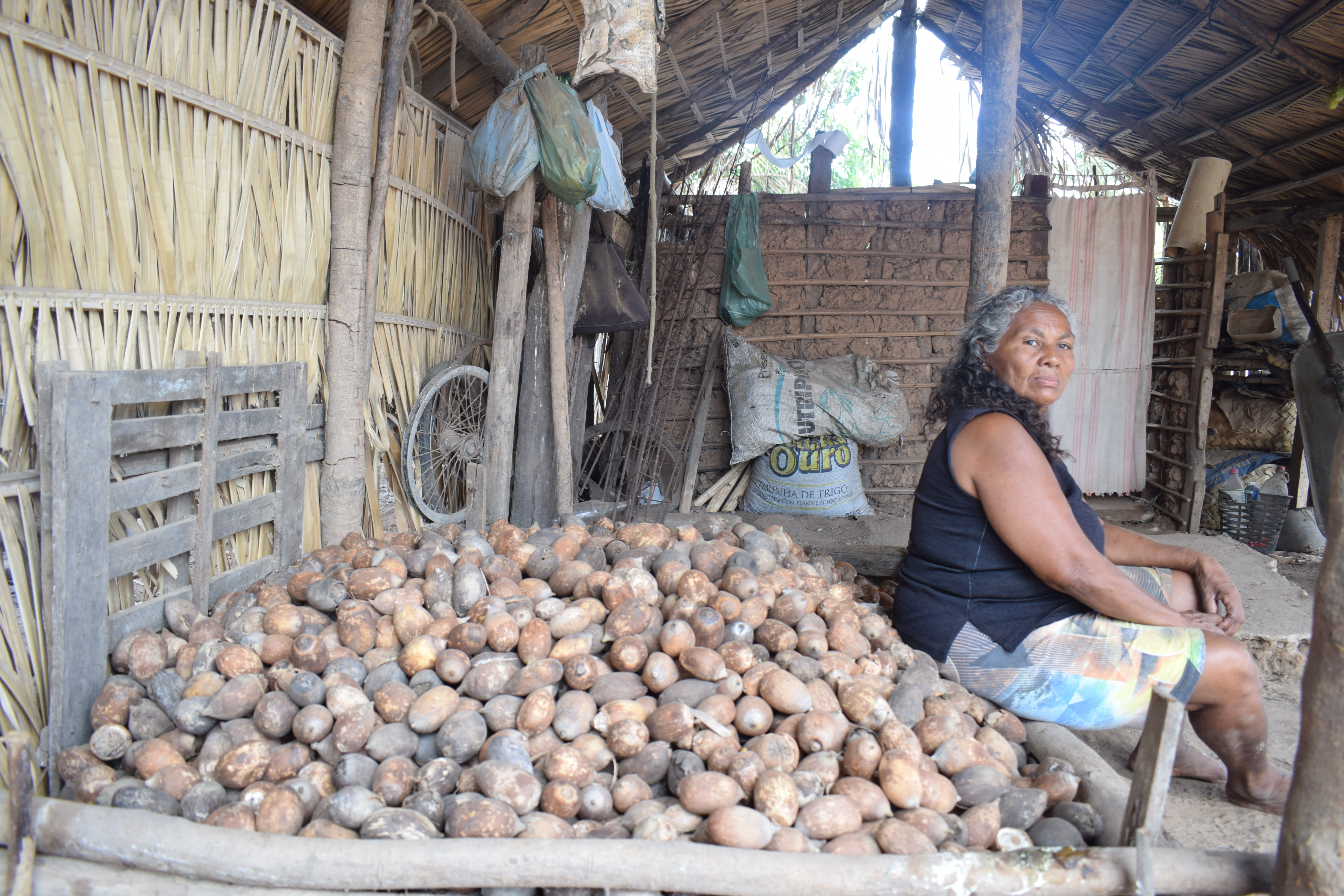 Quebradeiras de coco babaçu