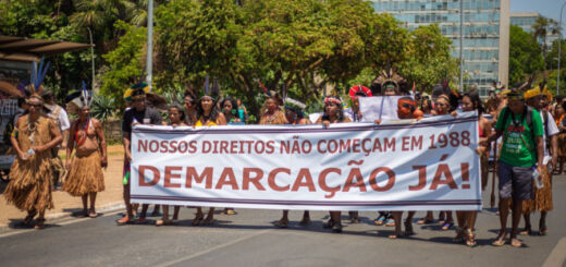 Indígenas carregando faixa dizendo demarcação já.