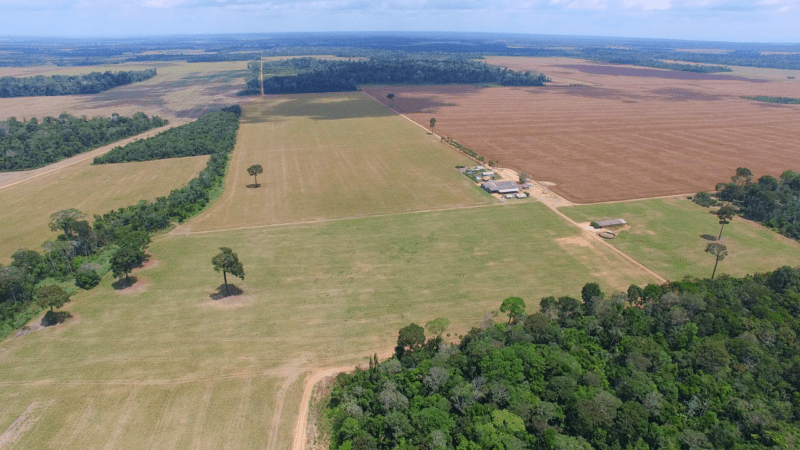 amazônia agro soja