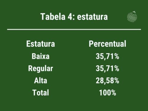 anúncio fuga escravo amazonas