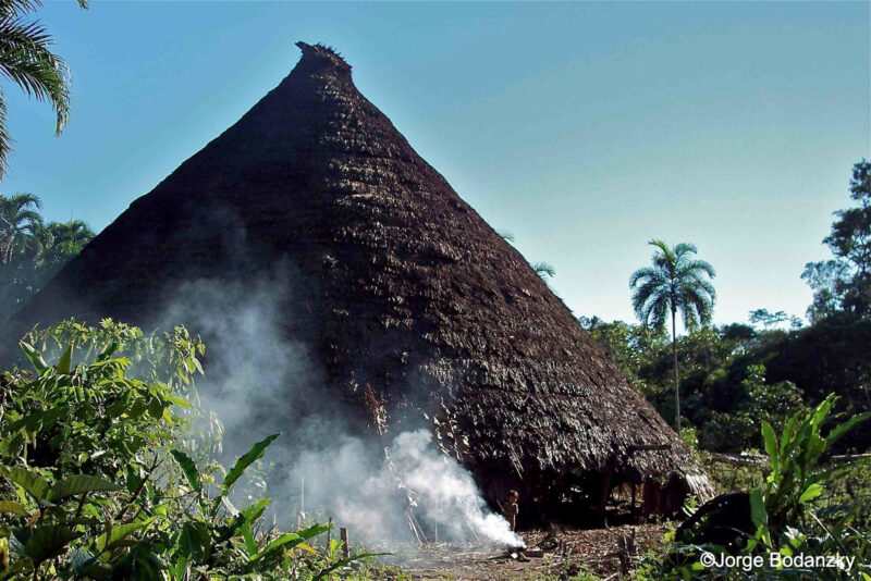 zuruahã amazônia bodankzy