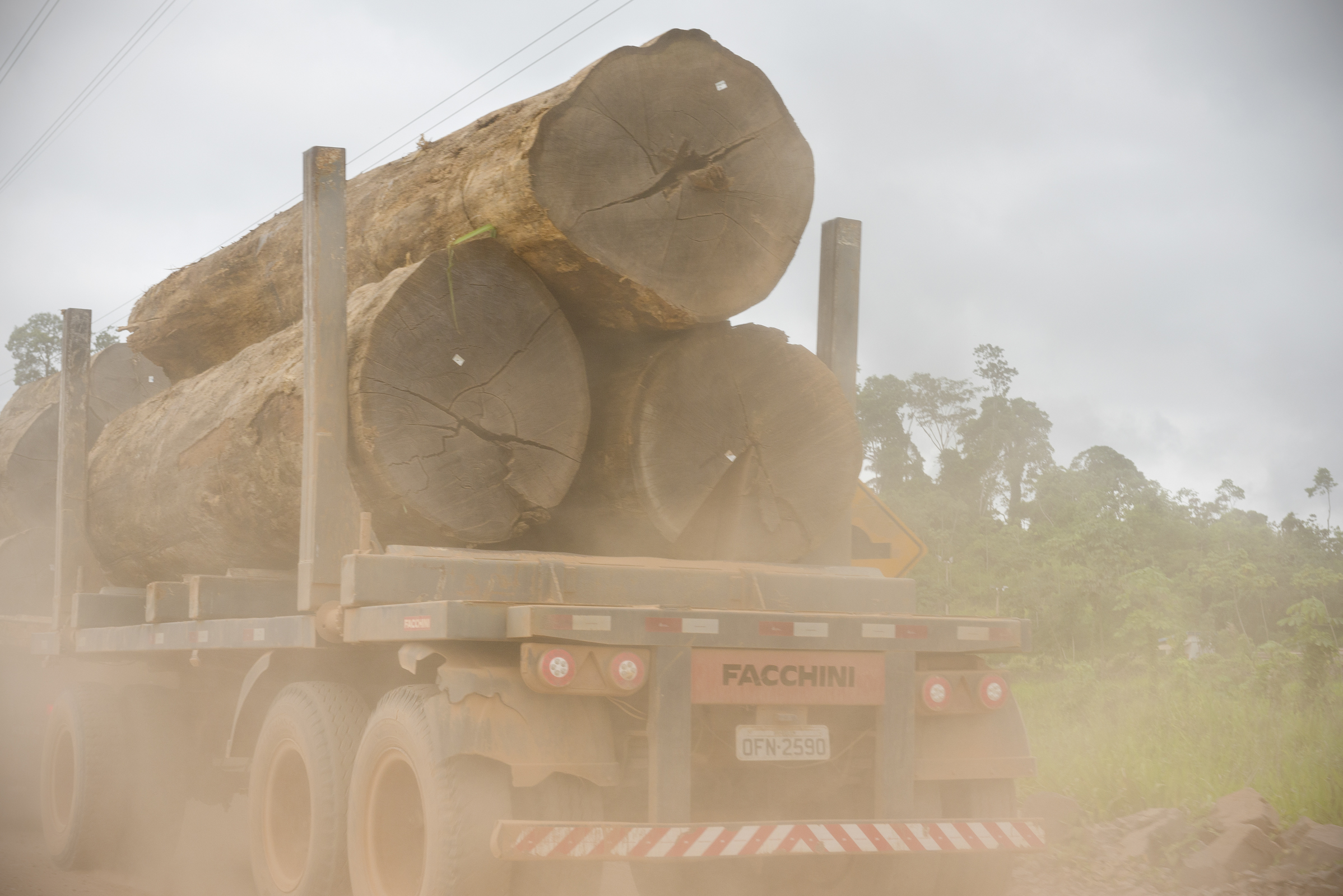 política socioambiental madeira