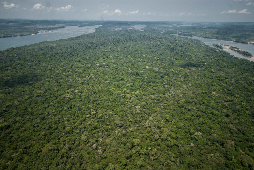 Volta do Xingu coberta de floresta