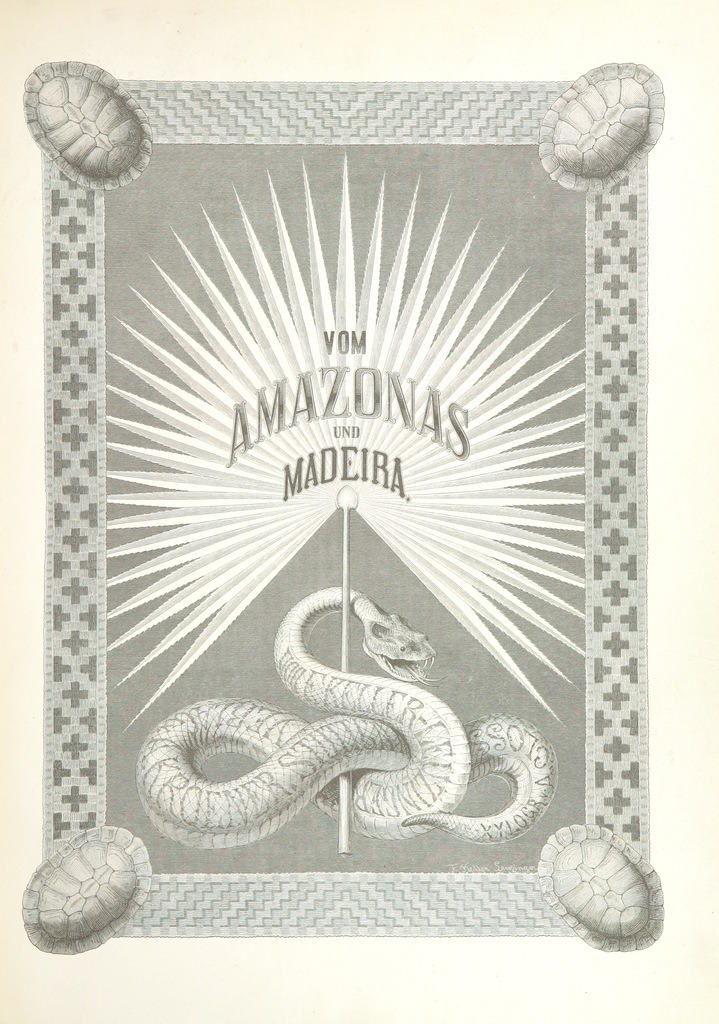 Capa da edição alemã do livro. Há uma serpente desenhada embaixo de raios de luz. 