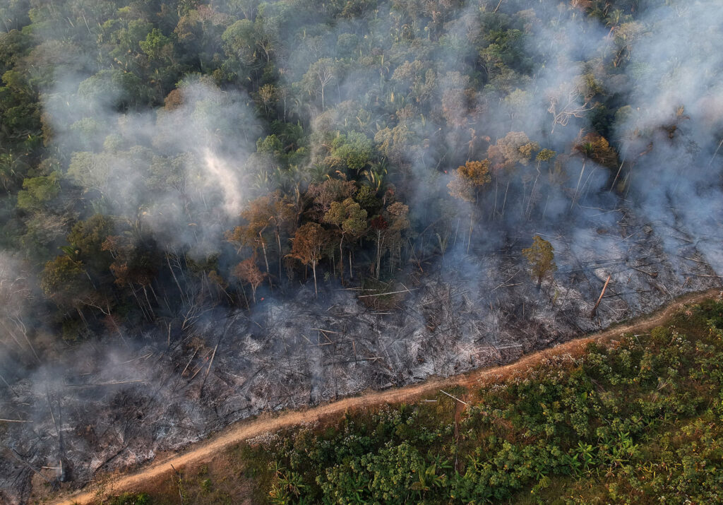 Uma linha diagonal queimada divida a área devastada pelo fogo e uma área verde. Amazônia (ainda) queima