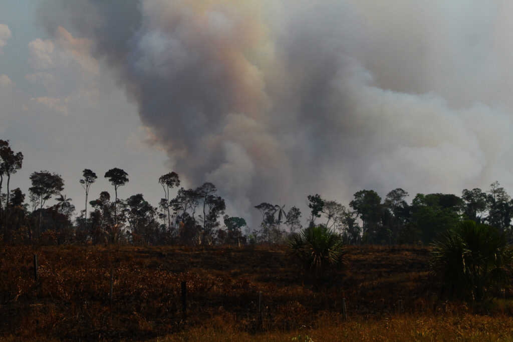 Fumaça na linha do horizonte na floresta amazônica. Amazônia (ainda) queima