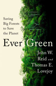 Capa do livro Ever Green.