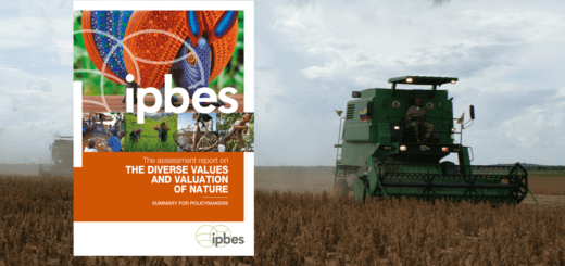 capa do relatório sobre valor da natureza