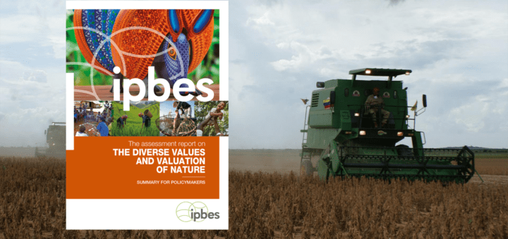 capa do relatório sobre valor da natureza