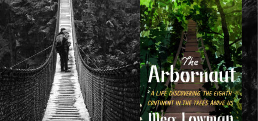 Paisagem de uma passarela em copas de árvores em preto e branco. Do lado direito, a capa do livro The Arbonaut.