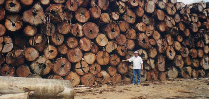 Madeireiro em frente a pilha de madeira ilegal cortada na Amazônia, processo que acelera a crise climática.