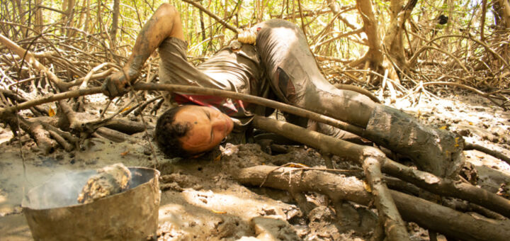 Caranguejeiro se contorce entre árvores do mangue para capturar caranguejo.