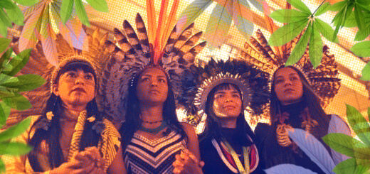 Arte com foto de mulheres indígenas da Amazônia, entre folhas verdes e uma luz alaranjada, olhando para o horizonte.