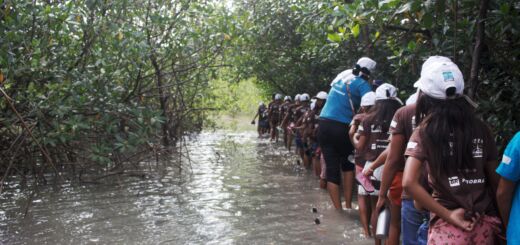 Alunos do projeto Alfa Mangue em viagem de campo em Bragança, no Pará.