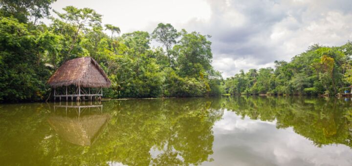 Rio na Floresta Amazônica. Uma casa de palafitas e palha está na margem à esquerda.