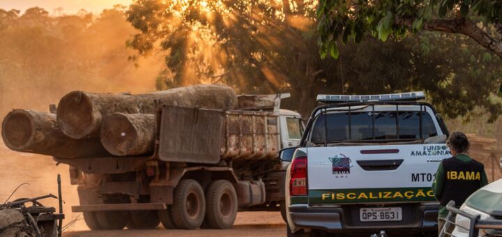 Ibama, Exército e Polícia Militar de Rondônia fiscalizam cadeia de custódia da madeira e desmatamento ilegal. Foto: Fernando Augusto / Ibama.