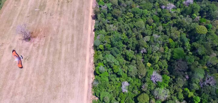 Avanço do Cultivo de soja na região de Belterra, Pará compromete o ecossistema da Floresta Nacional do Tapajos. - Foto: Marcos Colón / Amazônia Latitude