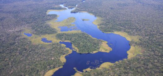 Parque Yasuní, onde há petróleo no Equador