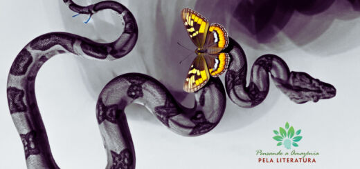 Vicente Cecim. Cobra e borboleta