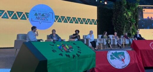 Painel com cientistas nos Diálogos Amazônicos