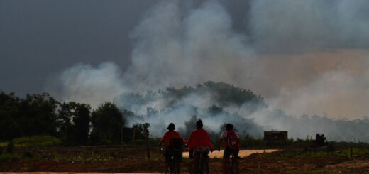 Futuro da Amazônia. Foto de queimada