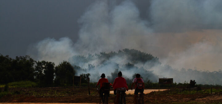 Futuro da Amazônia. Foto de queimada