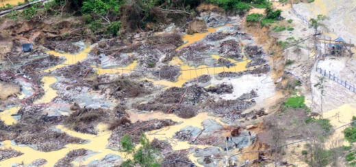 Rastro de destruição causada pelo garimpo na Terra Indígena Yanomami em Roraima em março de 2023. Foto: Dario Kopenawa