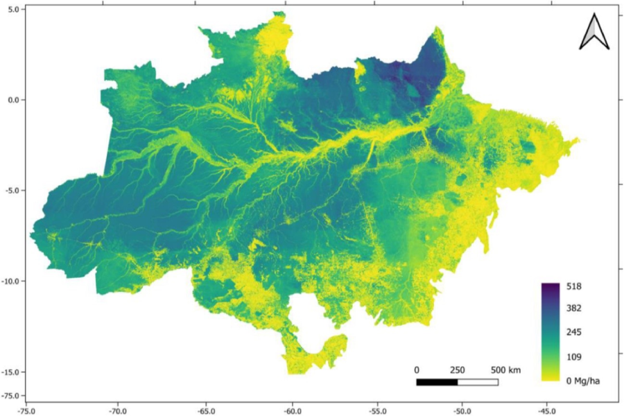 Distribuição da biomassa situada acima do solo na Floresta Amazônica