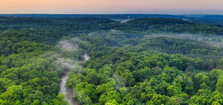 Floresta Amazônica brasileira