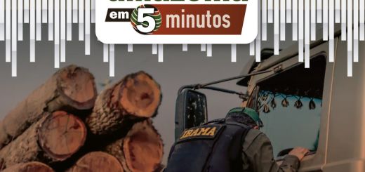 Amazônia em 5 minutos: paralisação de servidores do Ibama
