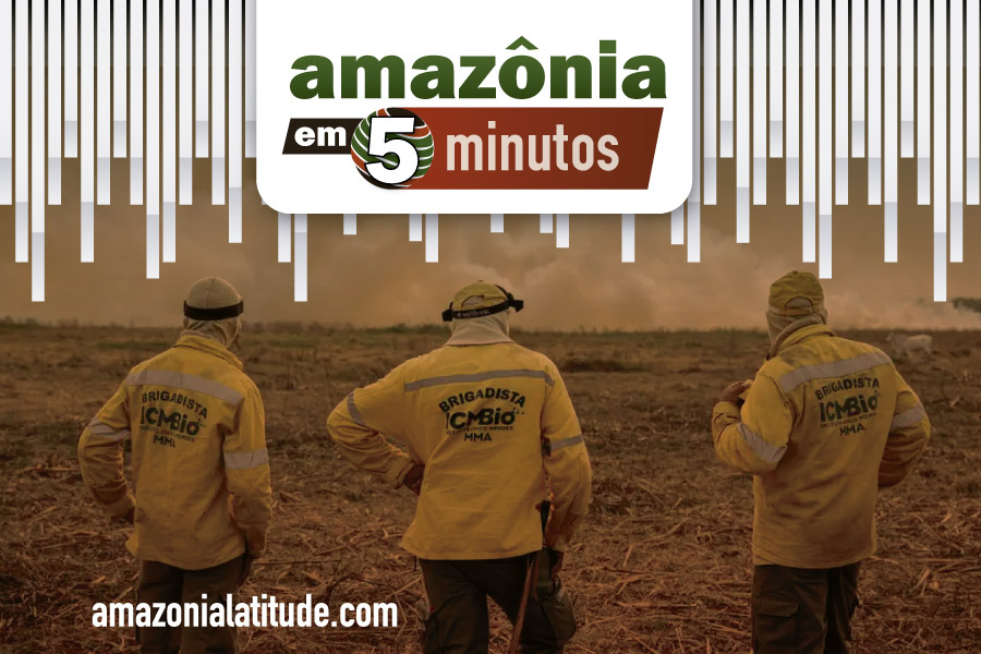 Narcotráfico no Equador