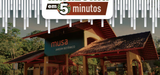 Museu da Amazônia (Musa)