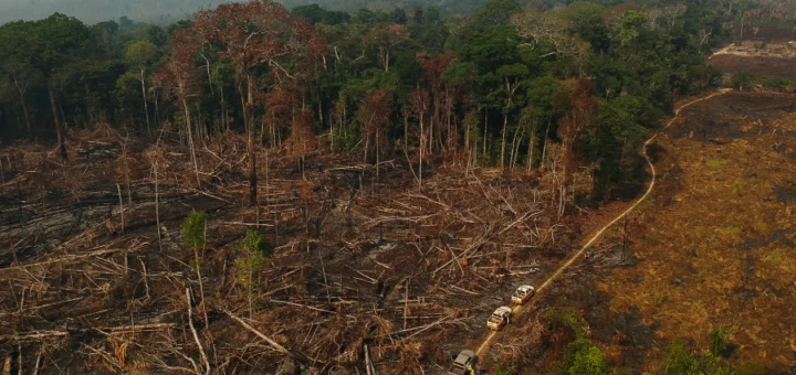 Área de floresta derrubada e queimada e vista na zona rural do município de Apuí, Amazonas. Foto: Bruno Kelly/Amazônia Real
