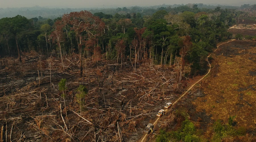 Área de floresta derrubada e queimada e vista na zona rural do município de Apuí, Amazonas. Foto: Bruno Kelly/Amazônia Real