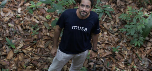 A Amazônia é a solução, diz novo diretor do Musa