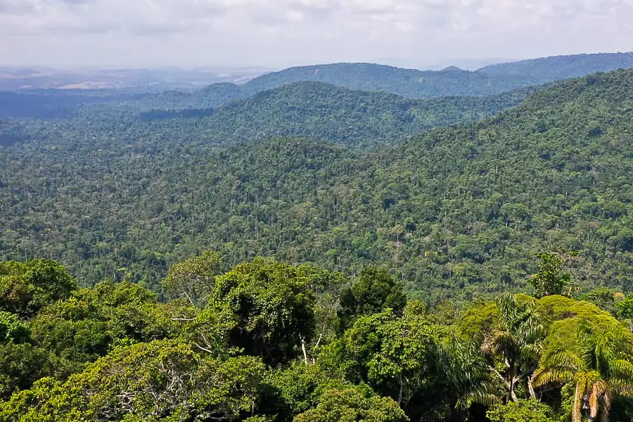 No Congresso, licenciamento ambiental preocupa especialistas