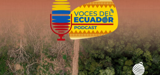 Voces del Ecuador: Amazonía ecuatoriana pierde 379 mil hectáreas de bosque