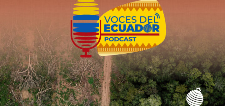 Voces del Ecuador: Amazonía ecuatoriana pierde 379 mil hectáreas de bosque