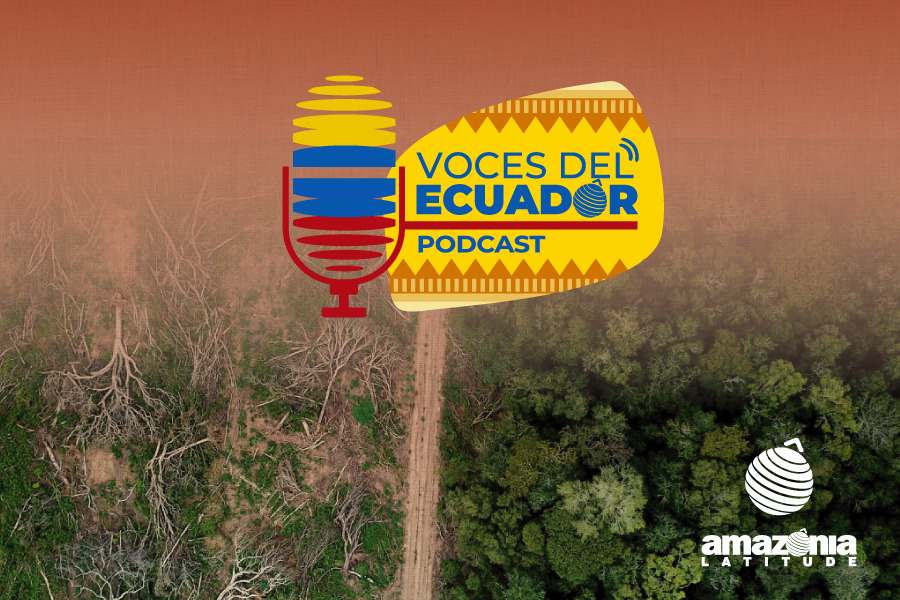 Voces del Ecuador: Amazonía ecuatoriana pierde 379 mil hectáreas de bosque