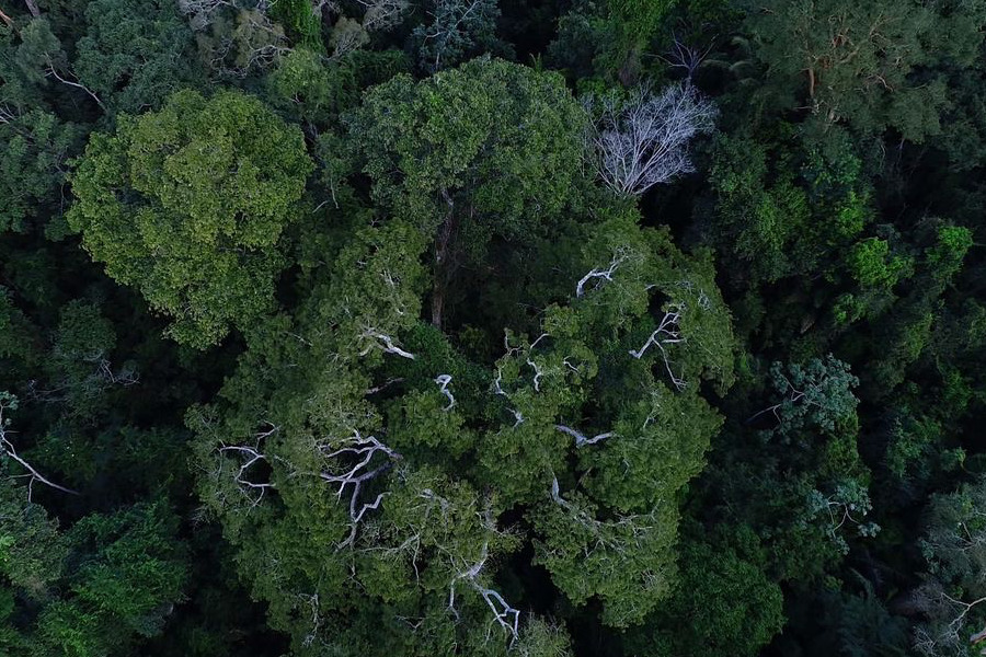 Cidades antigas na Amazônia e por que Ratanabá não existe