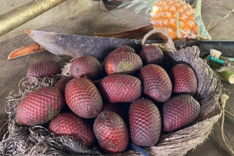 Frutas amazônicas como o buriti