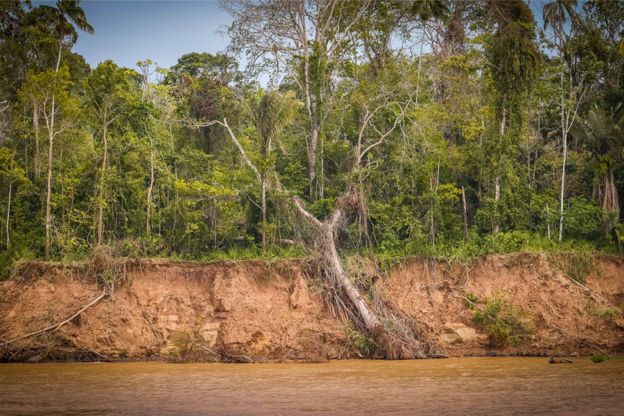 Testemunhando a iminência de uma grande seca enquanto navegamos pelo Rio Solimões de Tabatinga para Manaus