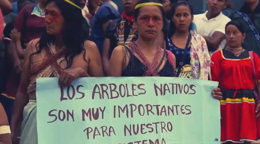 Lucha por la justicia racial y ambiental en Ecuador - cortometraje El futuro está en nuestros territorios