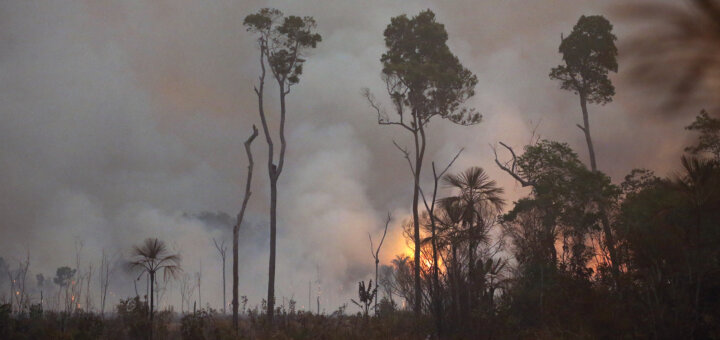 Queimada atinge área da floresta Amazônica, na margem da BR-230 (Transamazônica), em Lábrea (AM), quarta-feira, 04 de setembro de 2024. Dados do INPE indicam que nesses quatro dias de setembro, já foram registrados 10.032 focos de queimadas no bioma Amazônico.