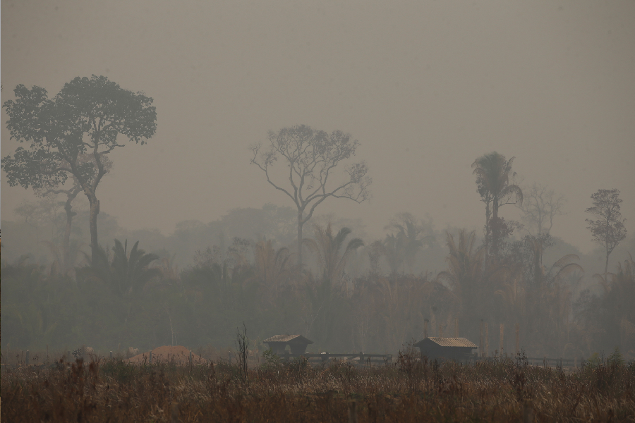 colhemos os resultados de um capitalismo que não tem outra bússola a não ser o lucro. Foto: Edmar Barros/Amazônia Latitude.