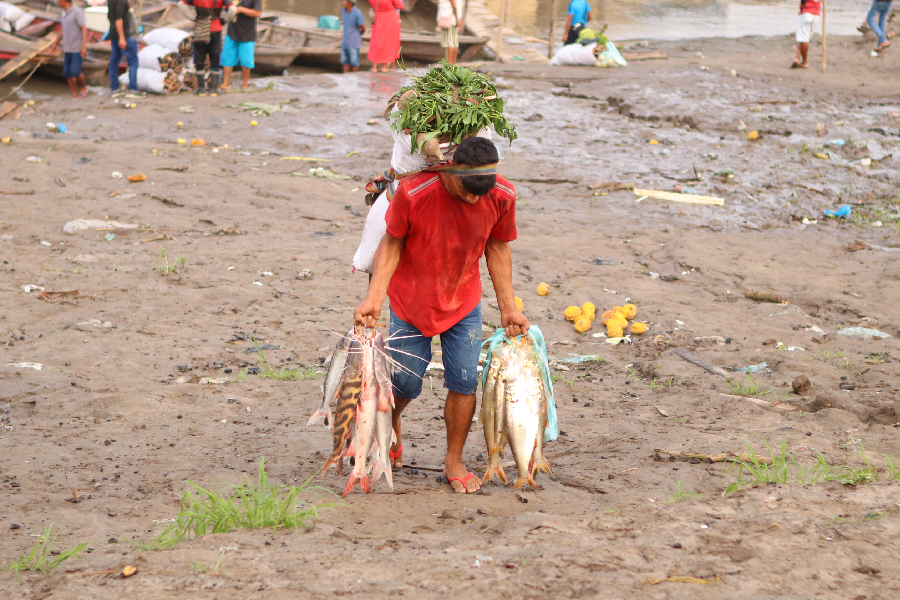 As comunidades, já debilitadas pela falta de acesso a recursos essenciais, enfrentam agora um desafio ainda maior para sobreviver. Foto: Antônio Caldas / Amazônia Latitude