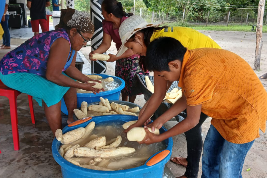 Em Roraima, famílias inteiras do povo Ingarikó produzem a mandioca, que se transforma em tucupi, farinha e beiju. Foto: Eliane Isabela / Rede Wakywaa / Projeto “Tucupi Preto”.