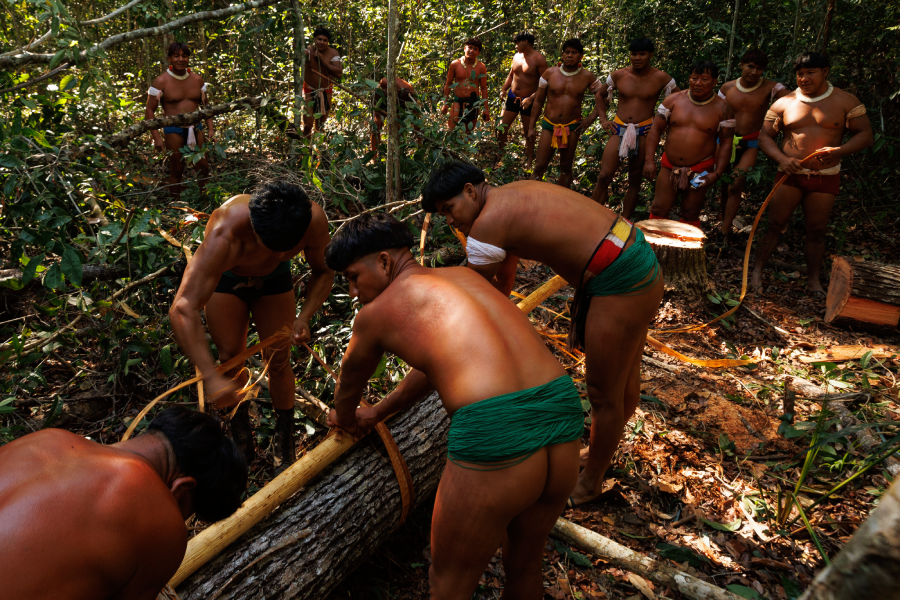 Um grupo de Indígenas Yawalapitis busca na Floresta a árvore sagrada que simboliza o Kuarup. Foto: Diego Baravelli/SUMAÚMA