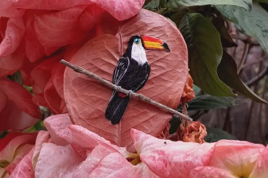 Eternizando a Amazônia: Artesãs usam elementos da própria natureza, como folhas, galhos e sementes, para produzir peças únicas que unem sustentabilidade e empoderamento na região. Foto: Acervo pessoal de Faby Fonseca.