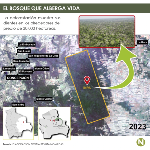 A floresta que abriga vida: O desmatamento mostra seus dentes nos arredores da propriedade de 30.000 hectares. Fonte: Elaboração da Revista Nómadas.